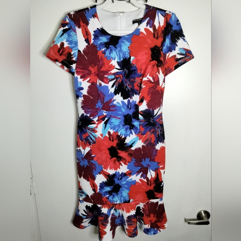 Maggy London (Size 4) Multicolored Floral Print Short Sleeve Ruffle Trim Dress